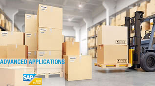 REINER und Advanced Applications entwickeln Best-Practice-Lösungen im SAP-Umfeld