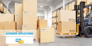 Versatile industry solutions in the SAP environment: he who seeks shall find!