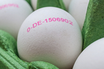 Eier AdobeStock 1197092478